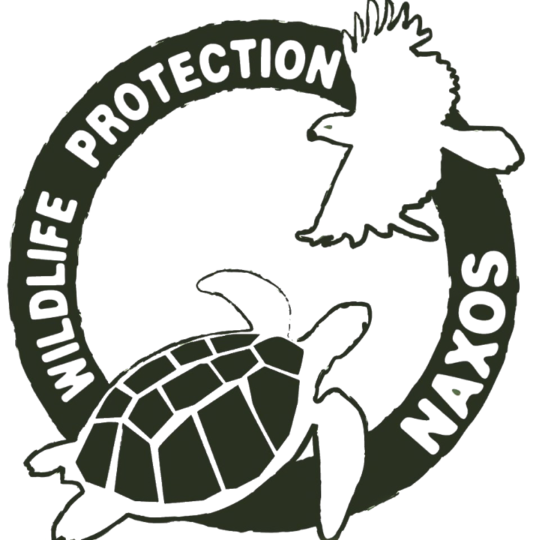naxoswildlife